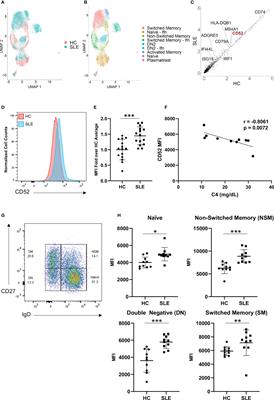 CD52 Is Elevated on B cells of SLE Patients and Regulates B Cell Function